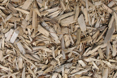biomass boilers Cradoc